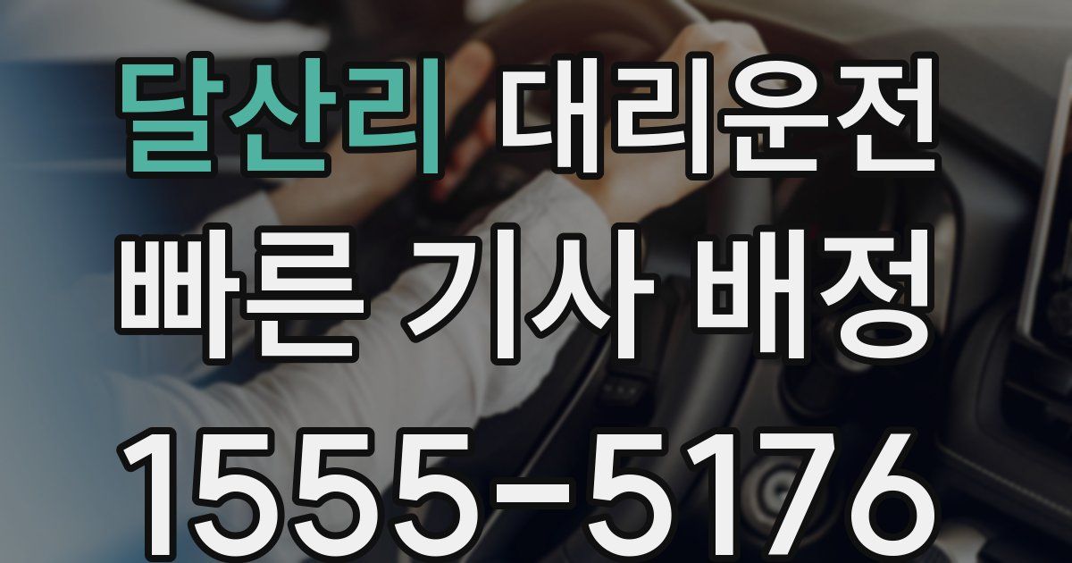 일일대리기사