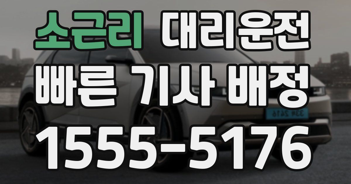 일일대리기사