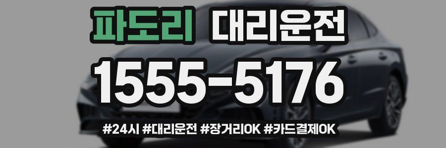 파도리 대리운전
