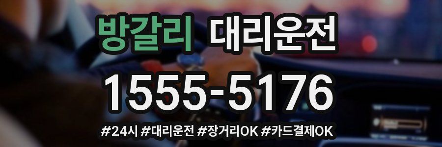 방갈리 대리운전