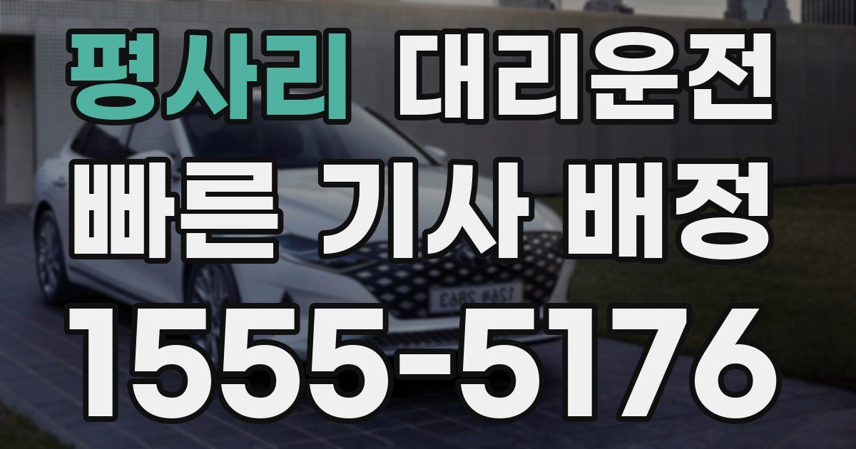 일일대리기사