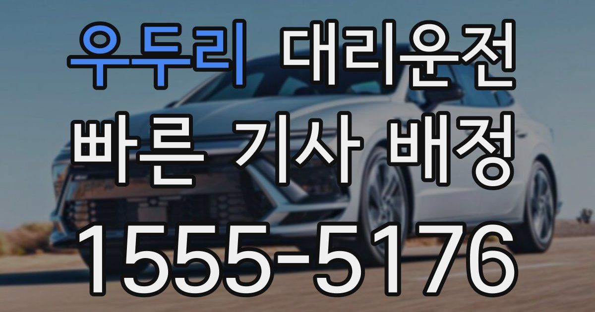 일일대리기사