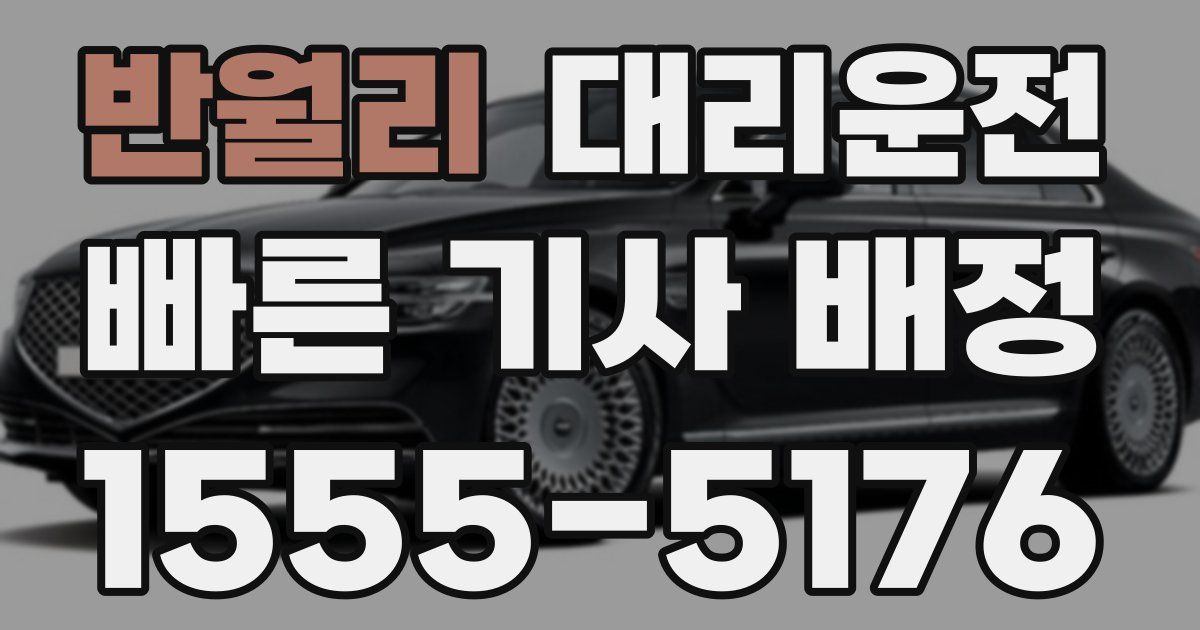일일대리기사