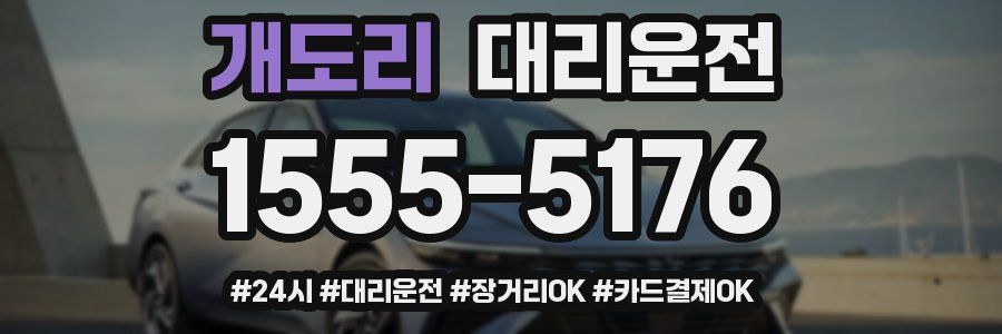 개도리 대리운전