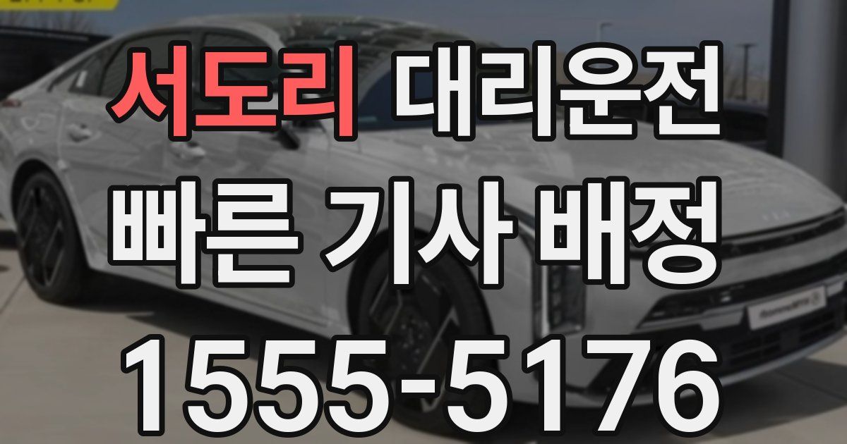 일일대리기사