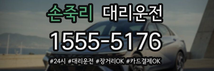 손죽리 대리운전