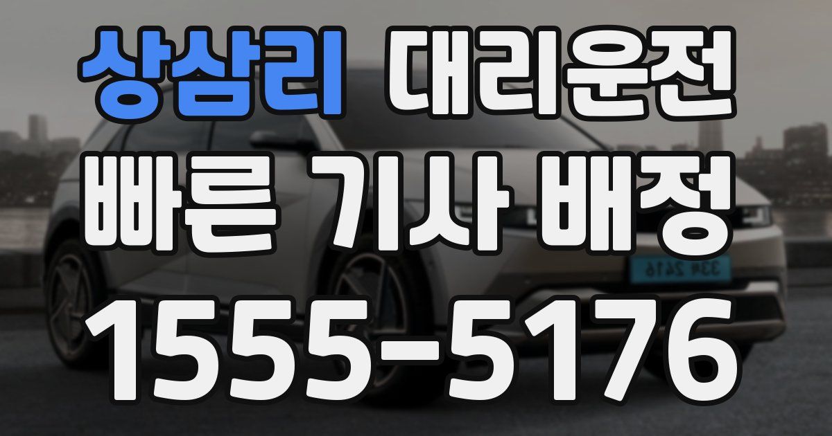 일일대리기사