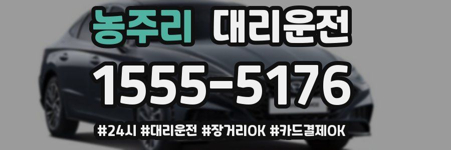 농주리 대리운전