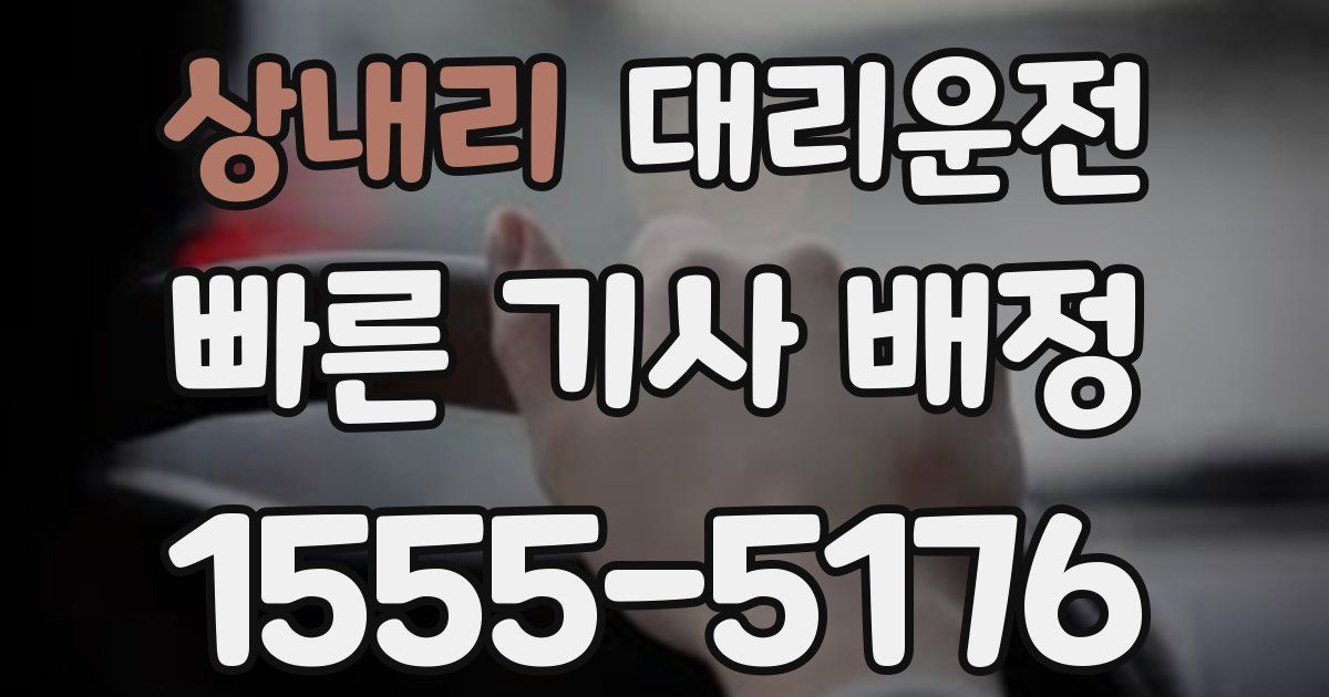 일일대리기사