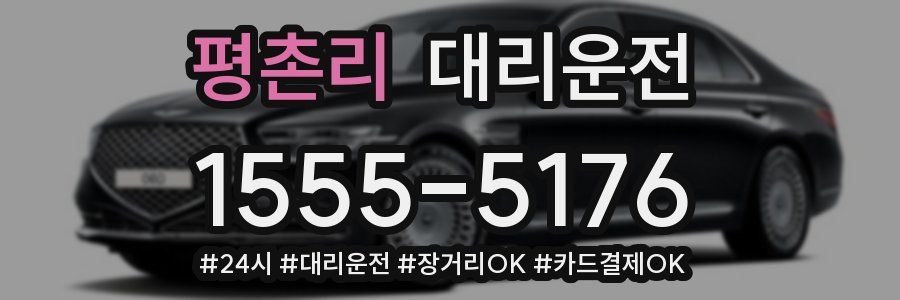 평촌리 대리운전