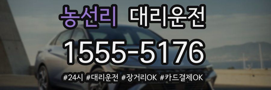 농선리 대리운전