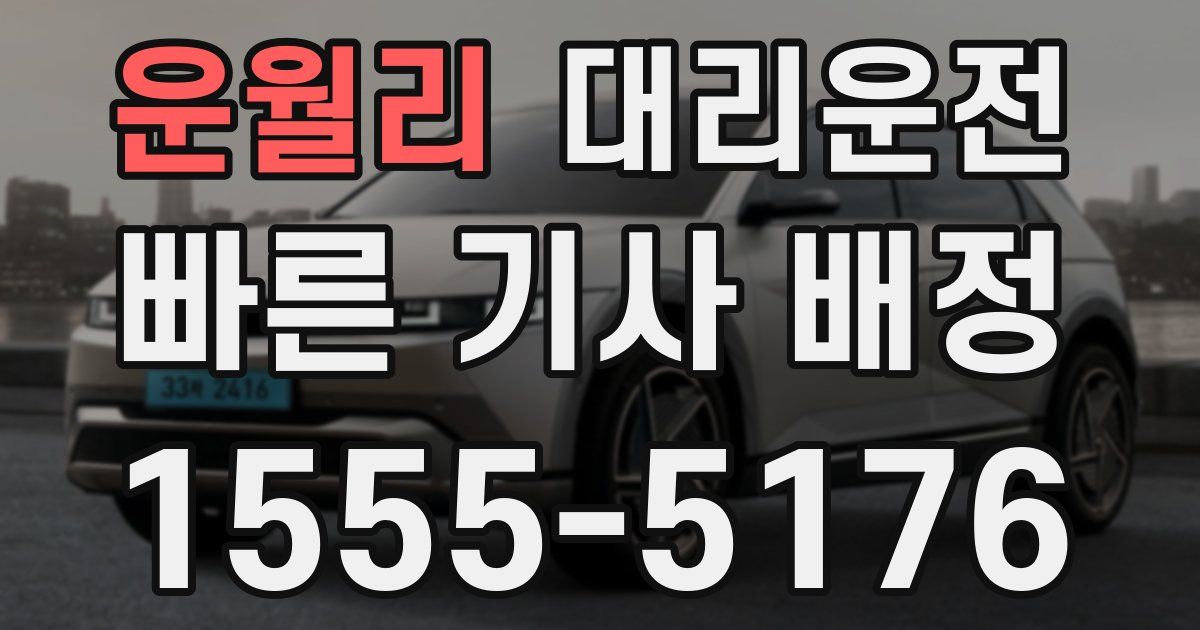 일일대리기사