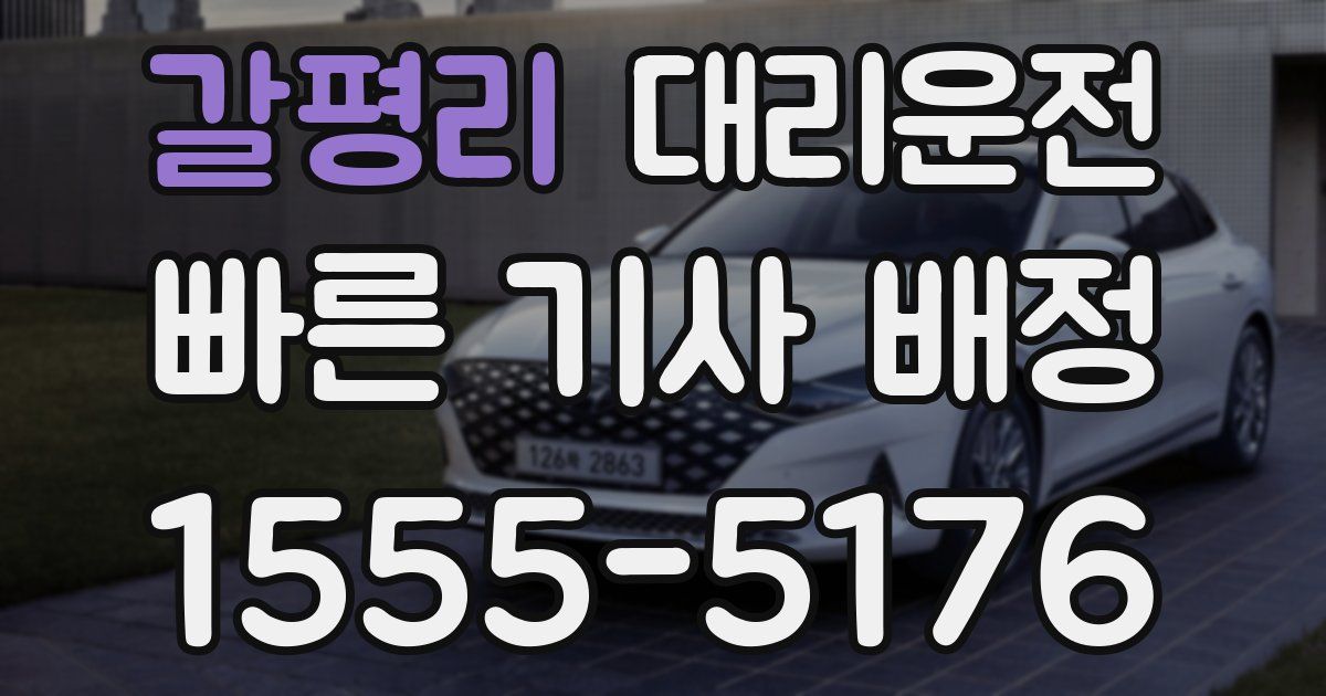 일일대리기사