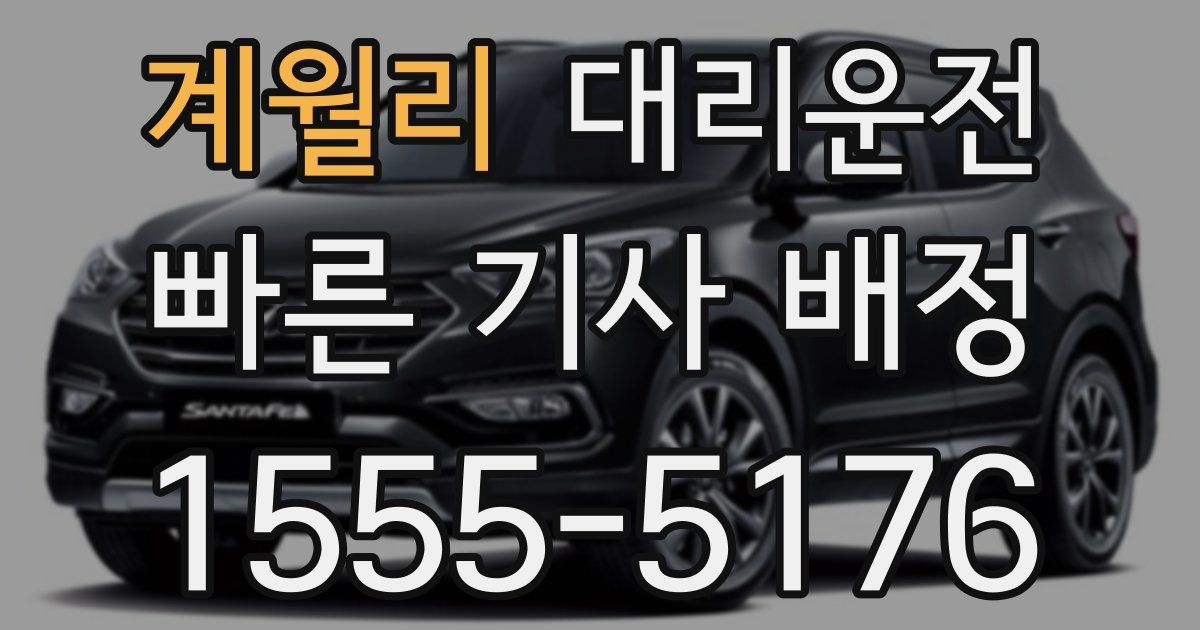 일일대리기사