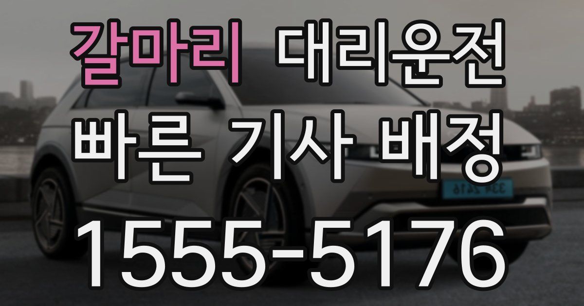 일일대리기사