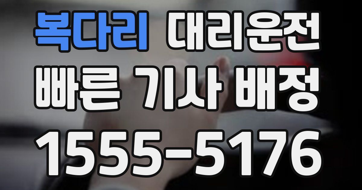 일일대리기사