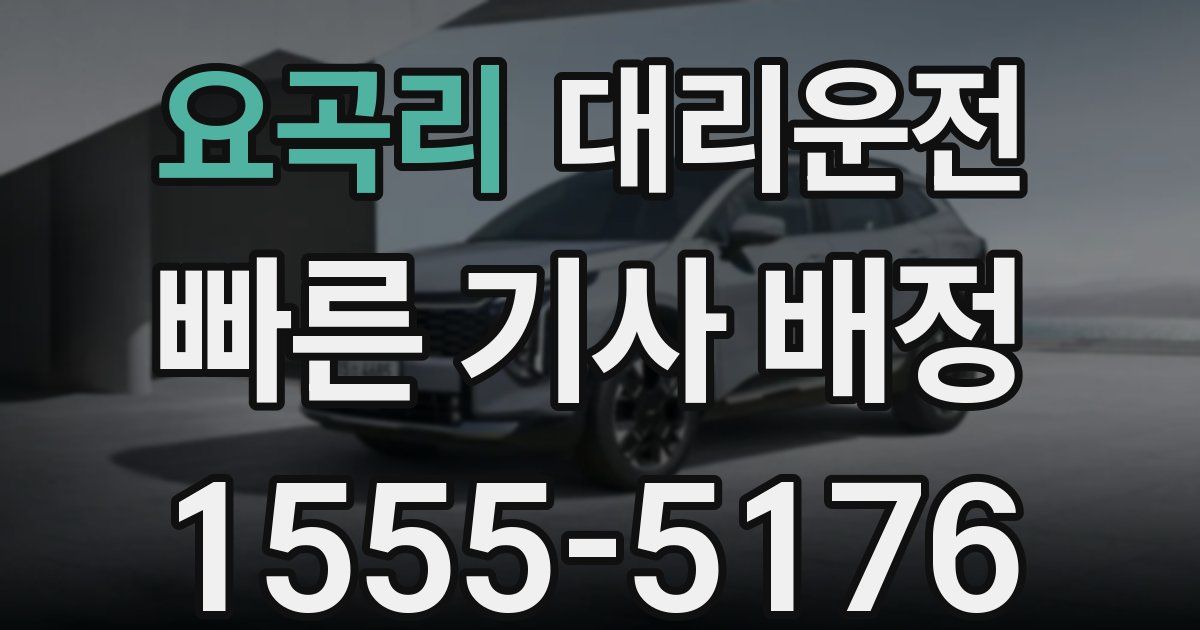 일일대리기사