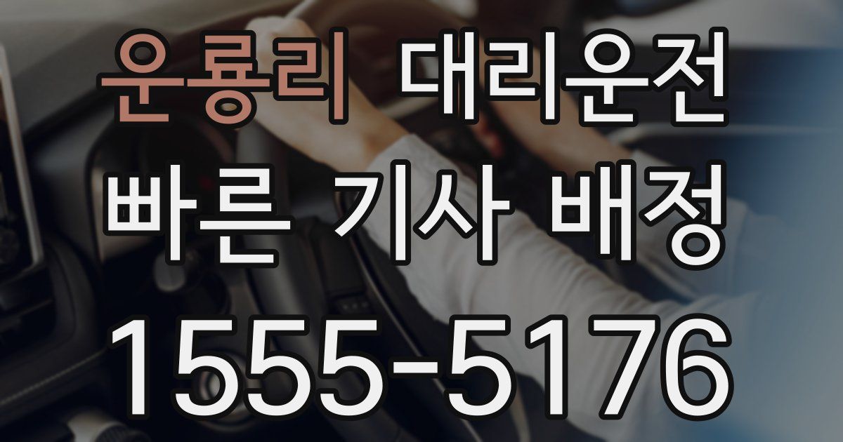 일일대리기사