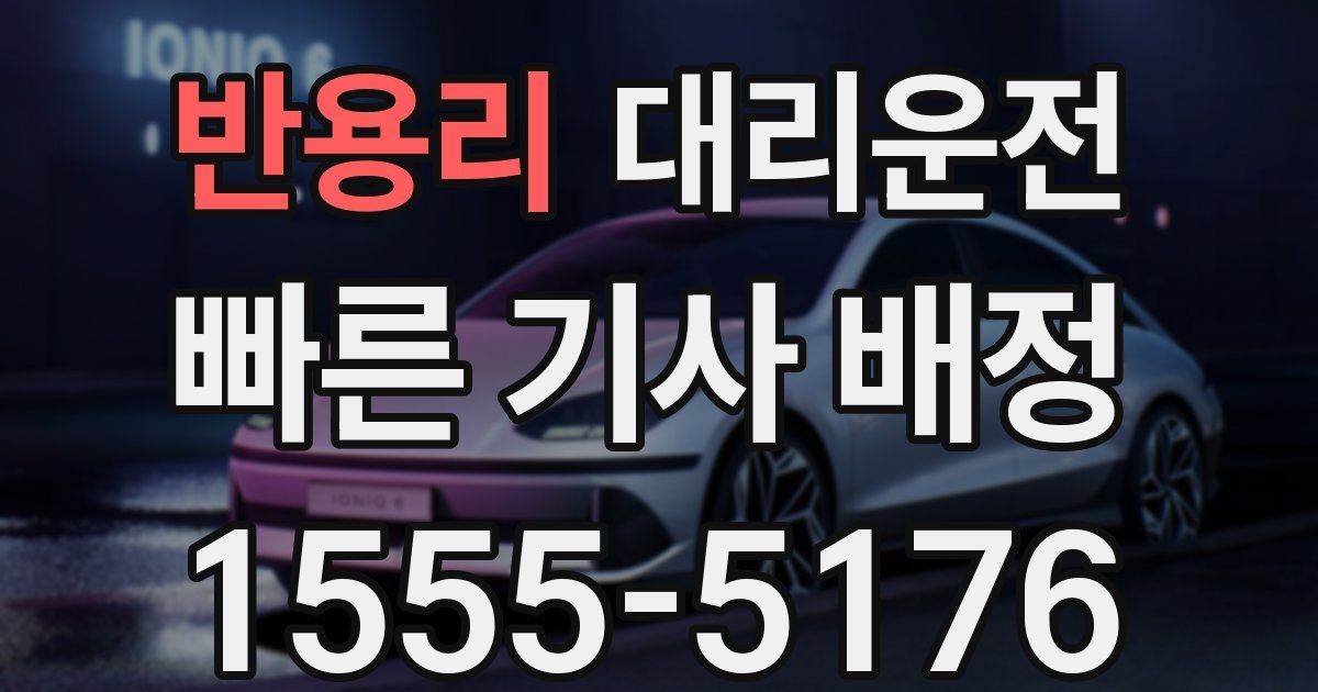 일일대리기사