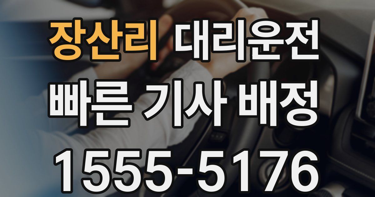 일일대리기사