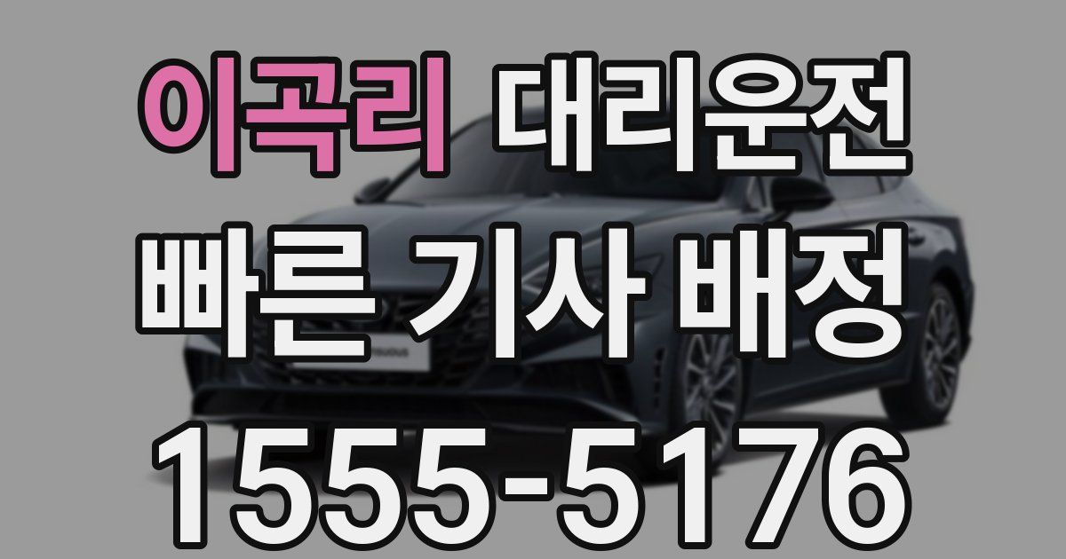일일대리기사