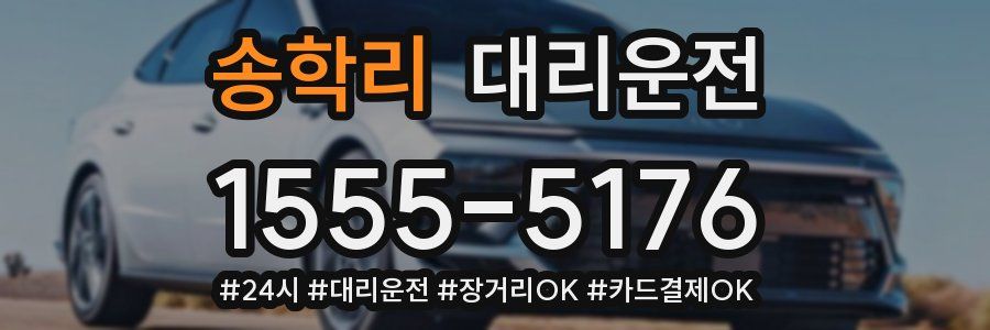 송학리 대리운전