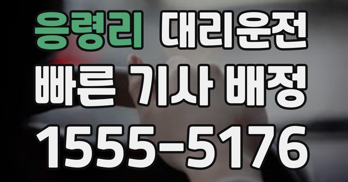 일일대리기사