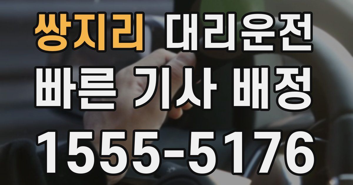 일일대리기사