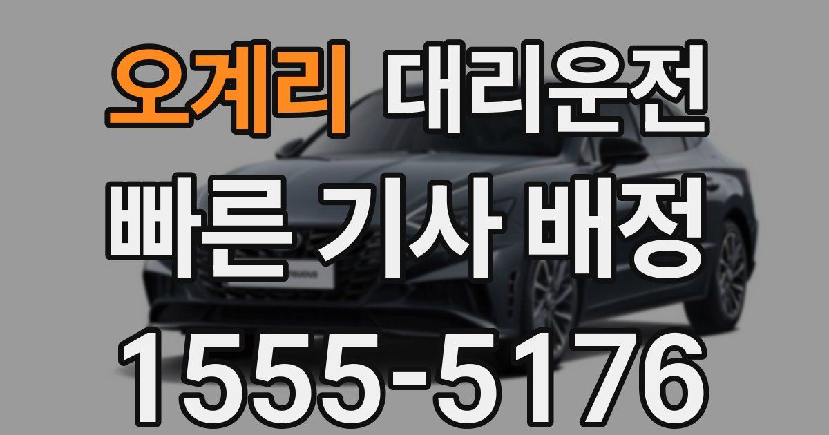 일일대리기사