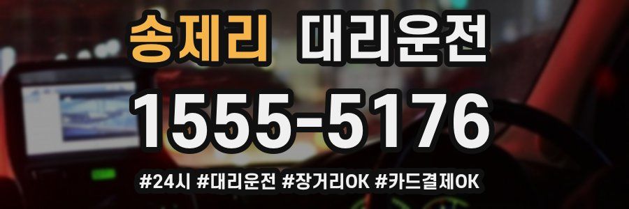 송제리 대리운전