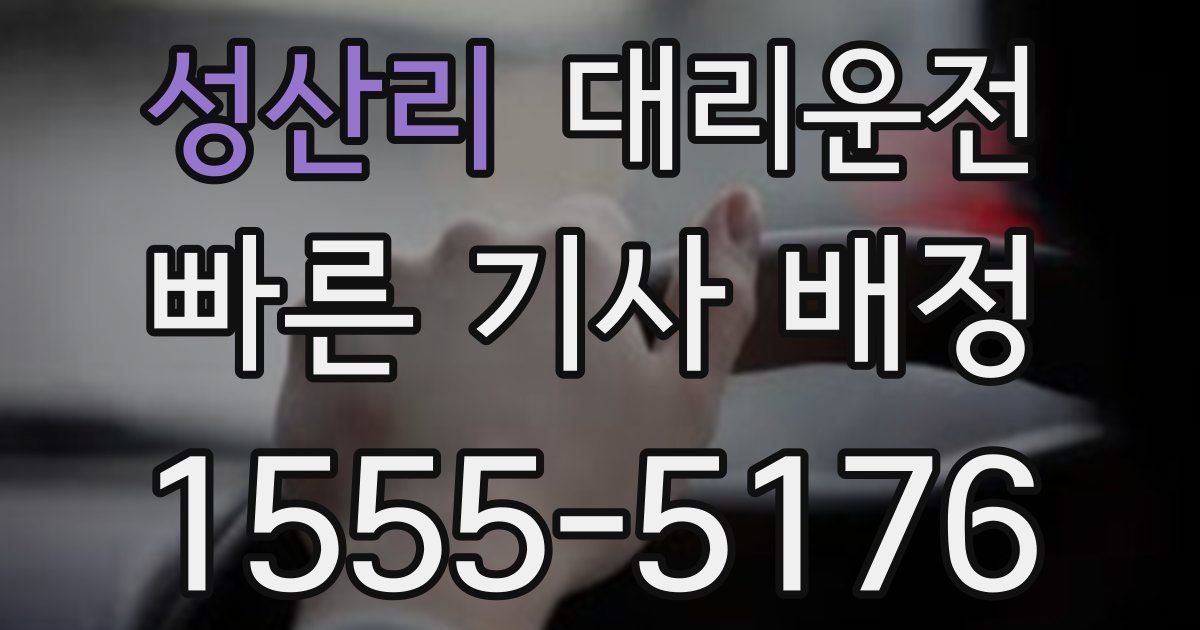 일일대리기사