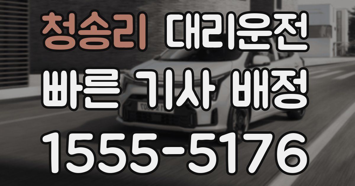 일일대리기사