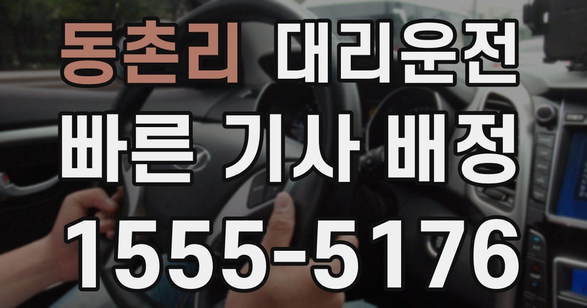 일일대리기사