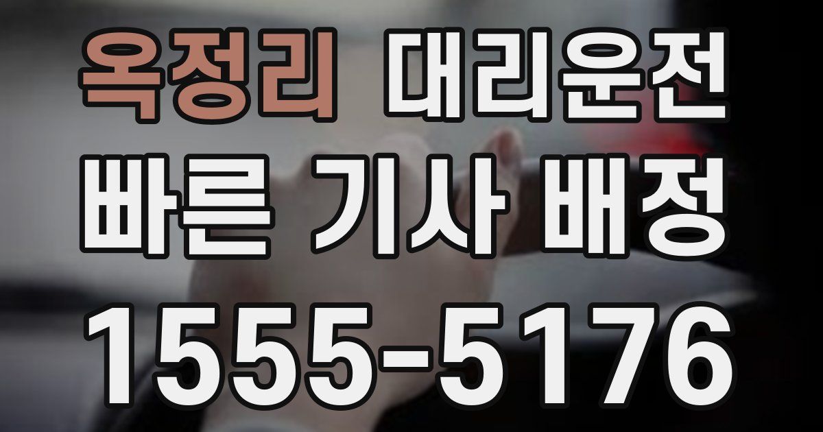 일일대리기사