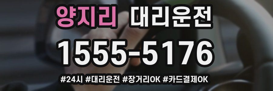 양지리 대리운전