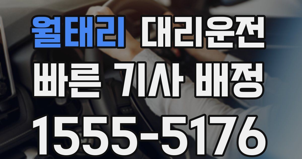 일일대리기사