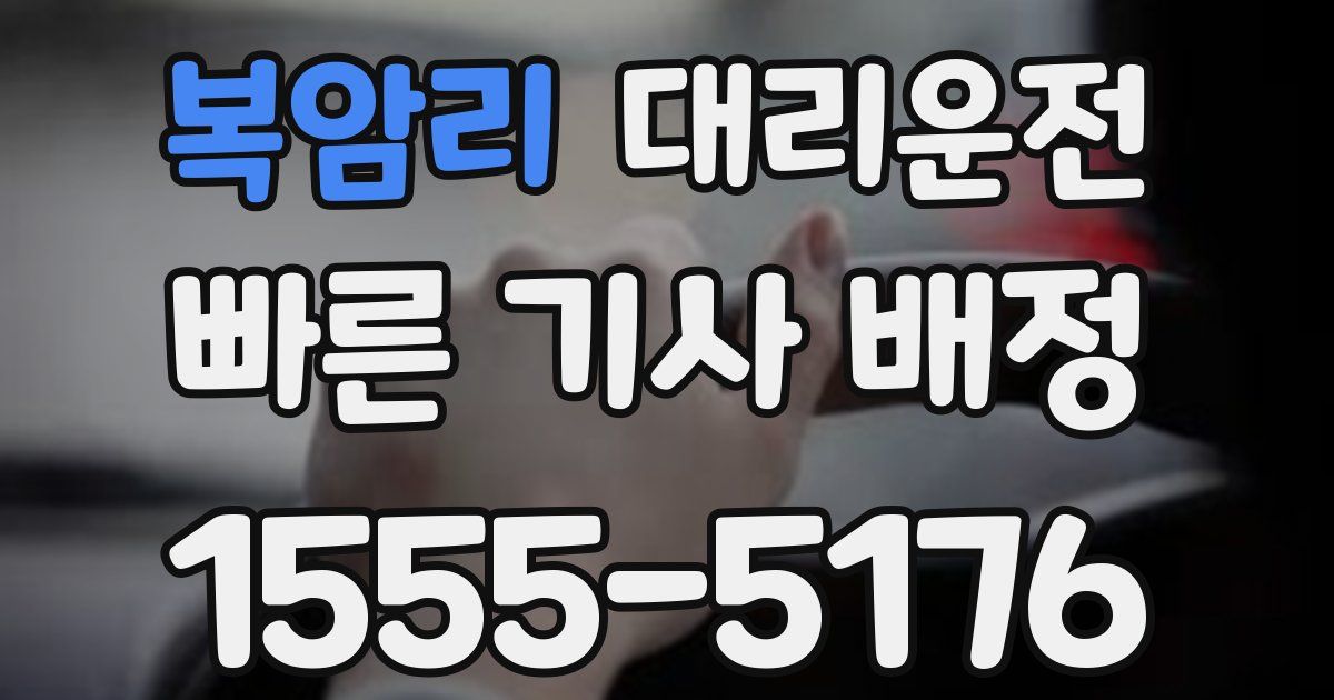 일일대리기사