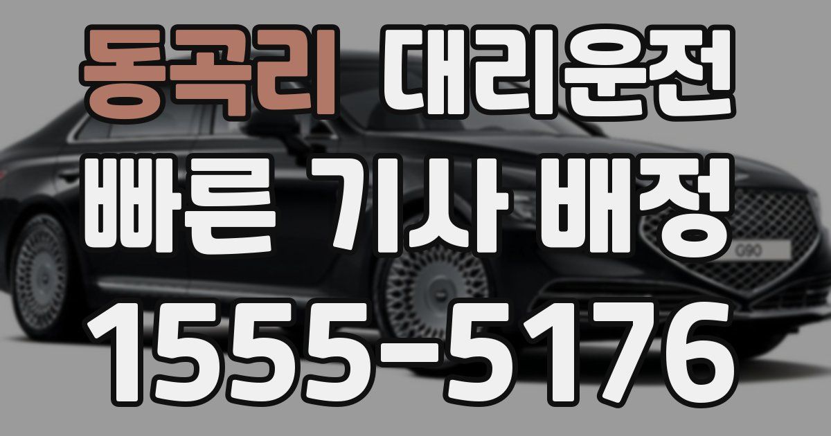 일일대리기사