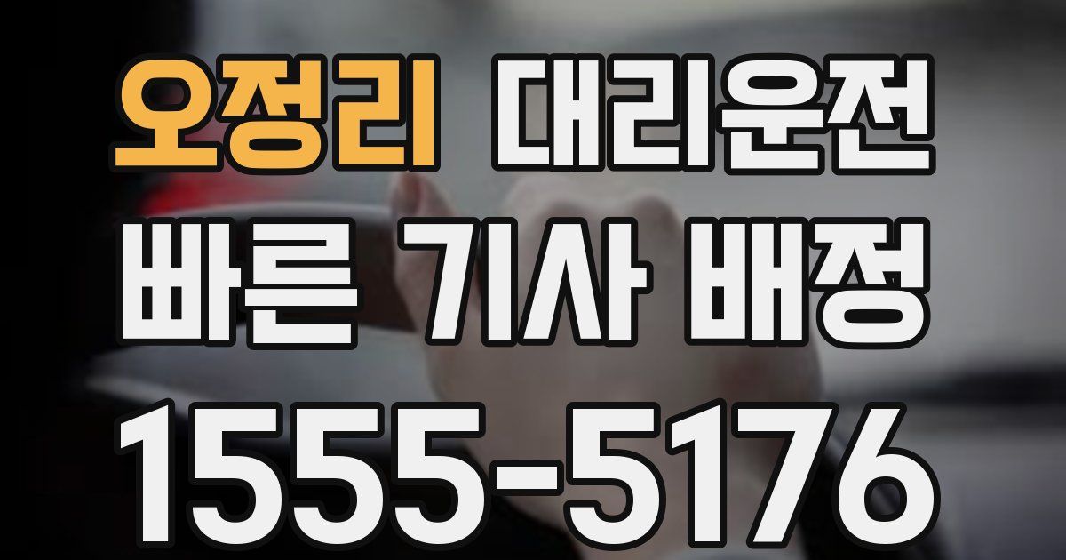 일일대리기사