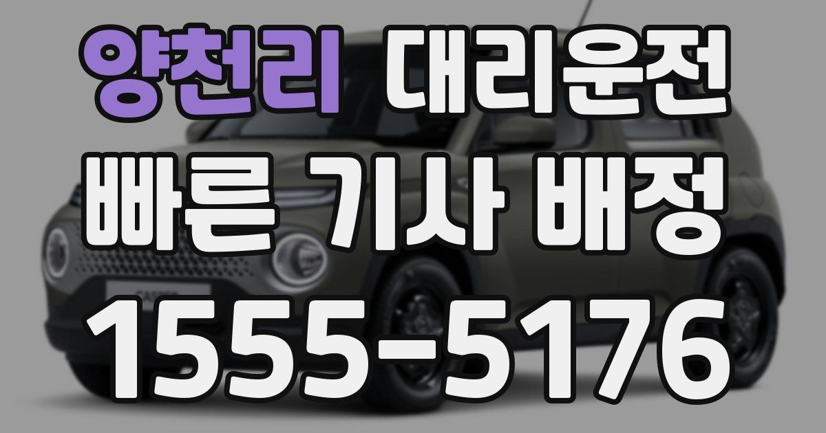 일일대리기사