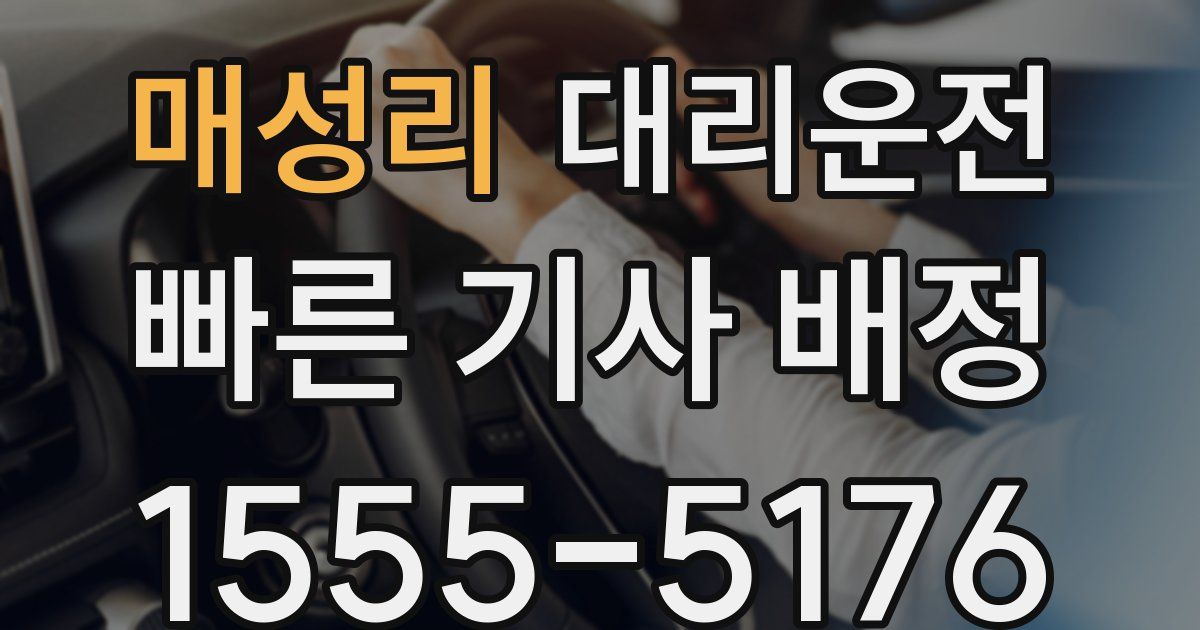일일대리기사