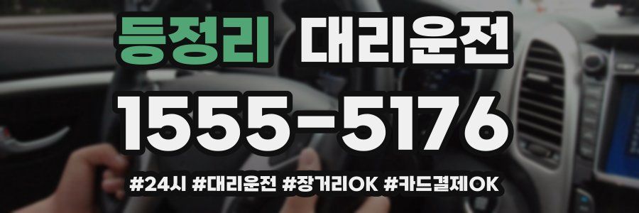 등정리 대리운전