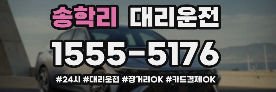 송학리 대리운전