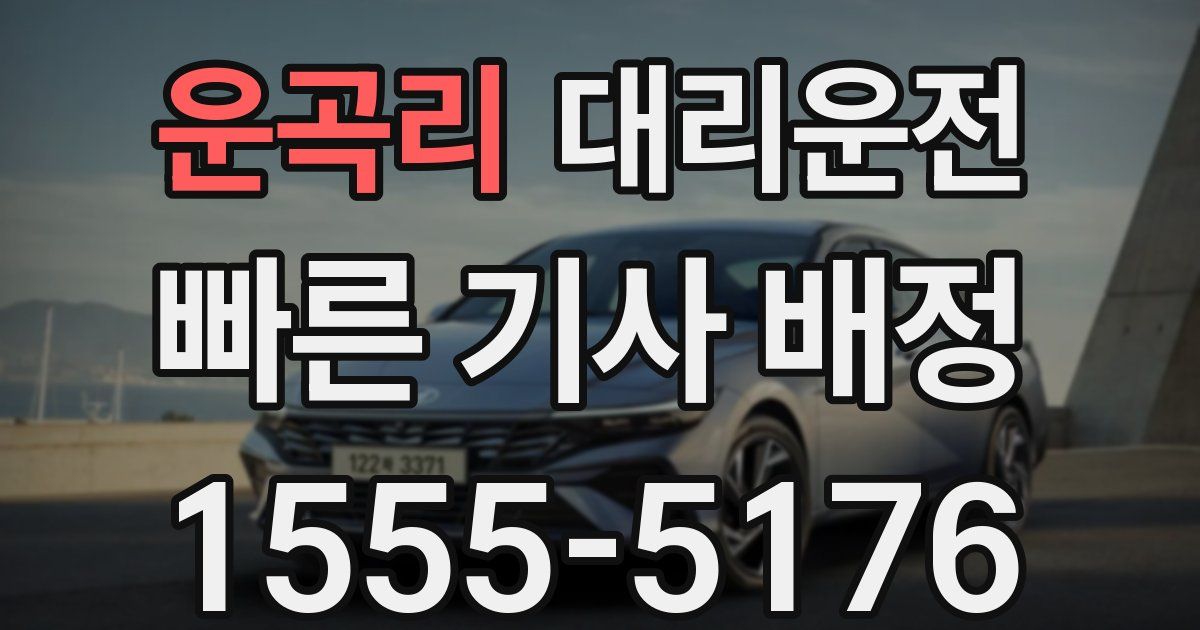 일일대리기사