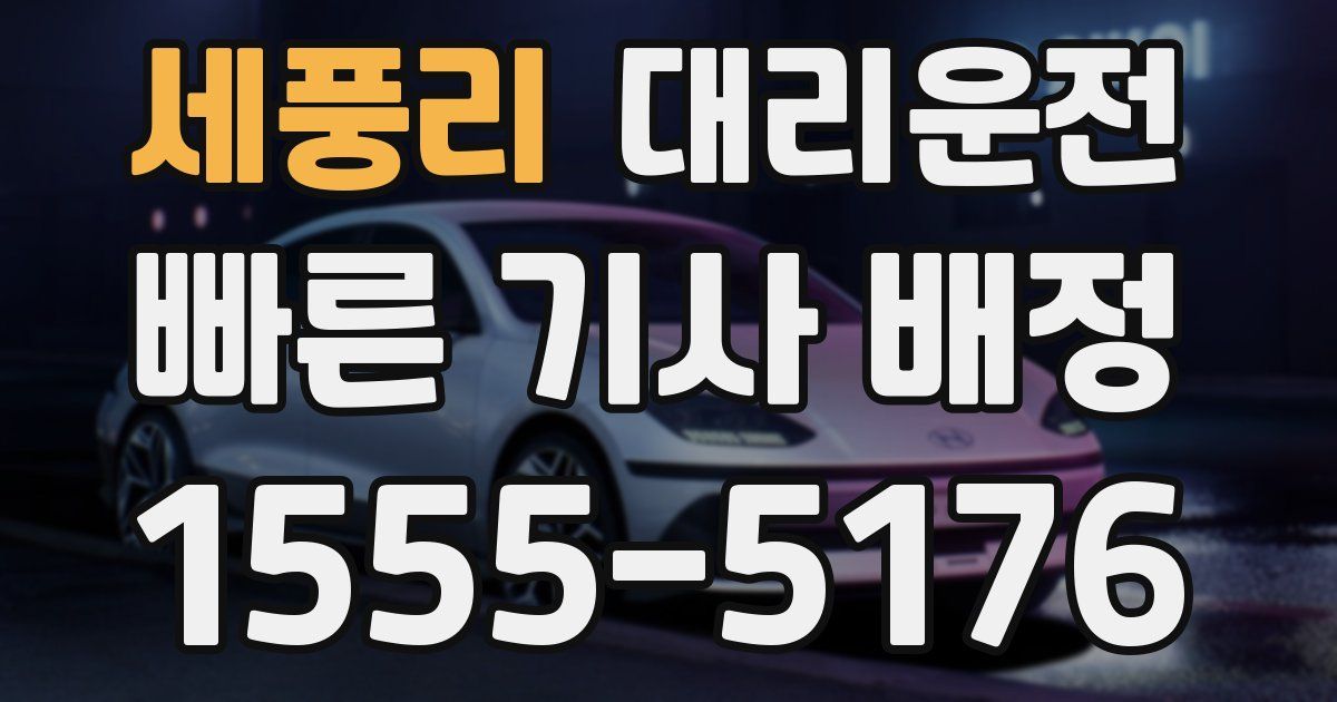 일일대리기사