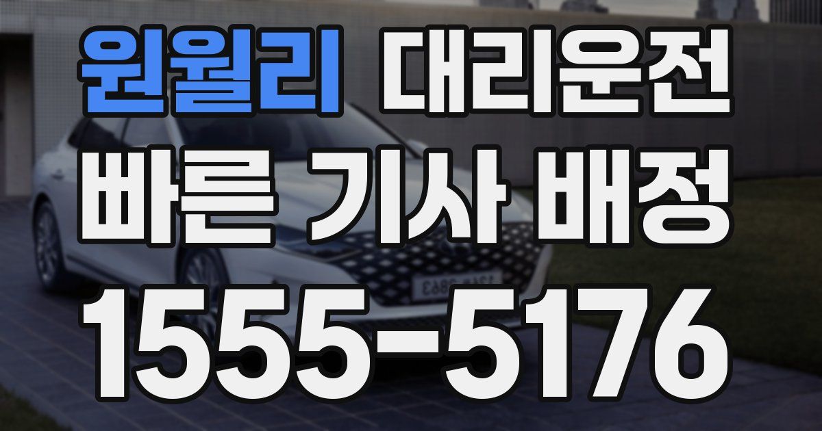 일일대리기사