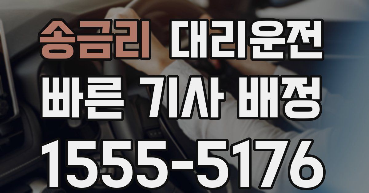 일일대리기사