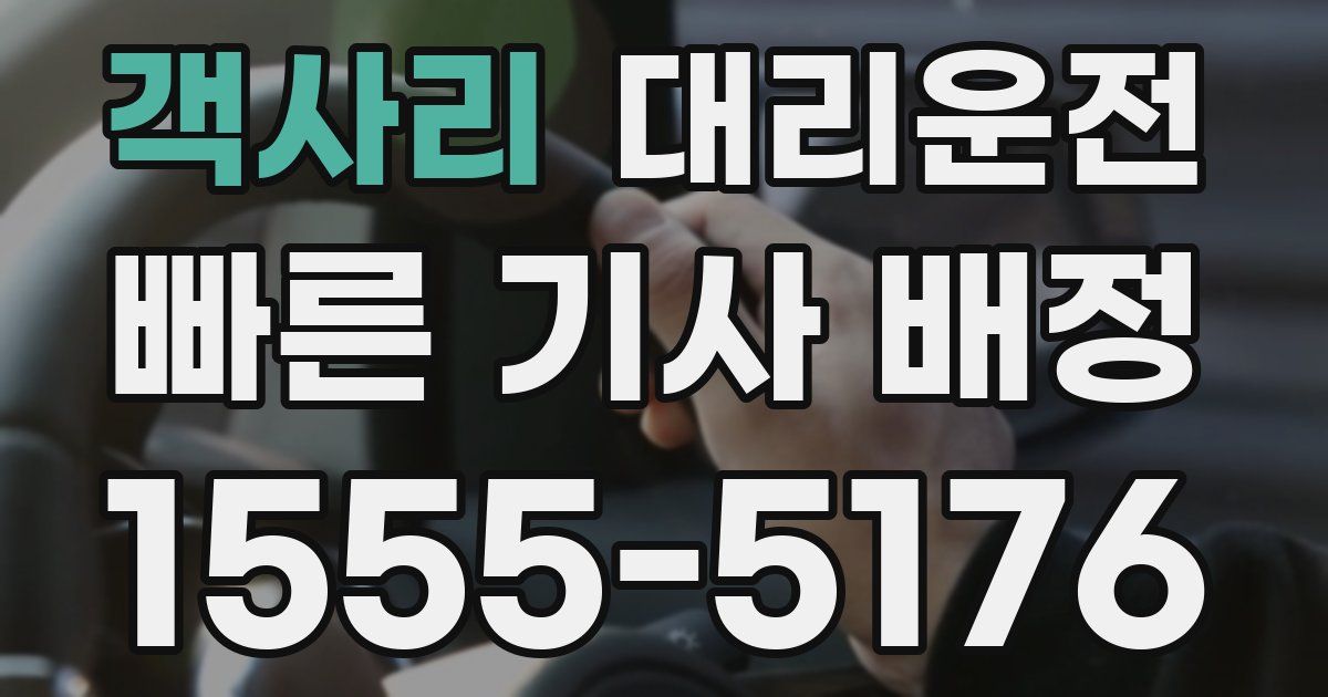 일일대리기사