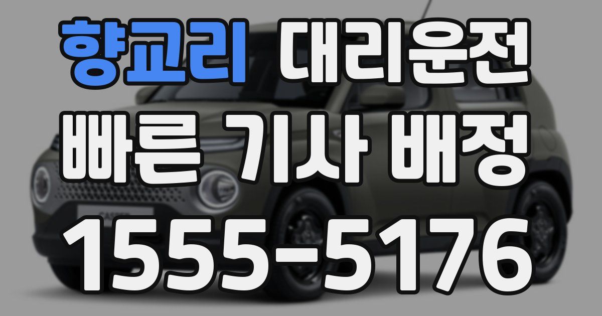 일일대리기사