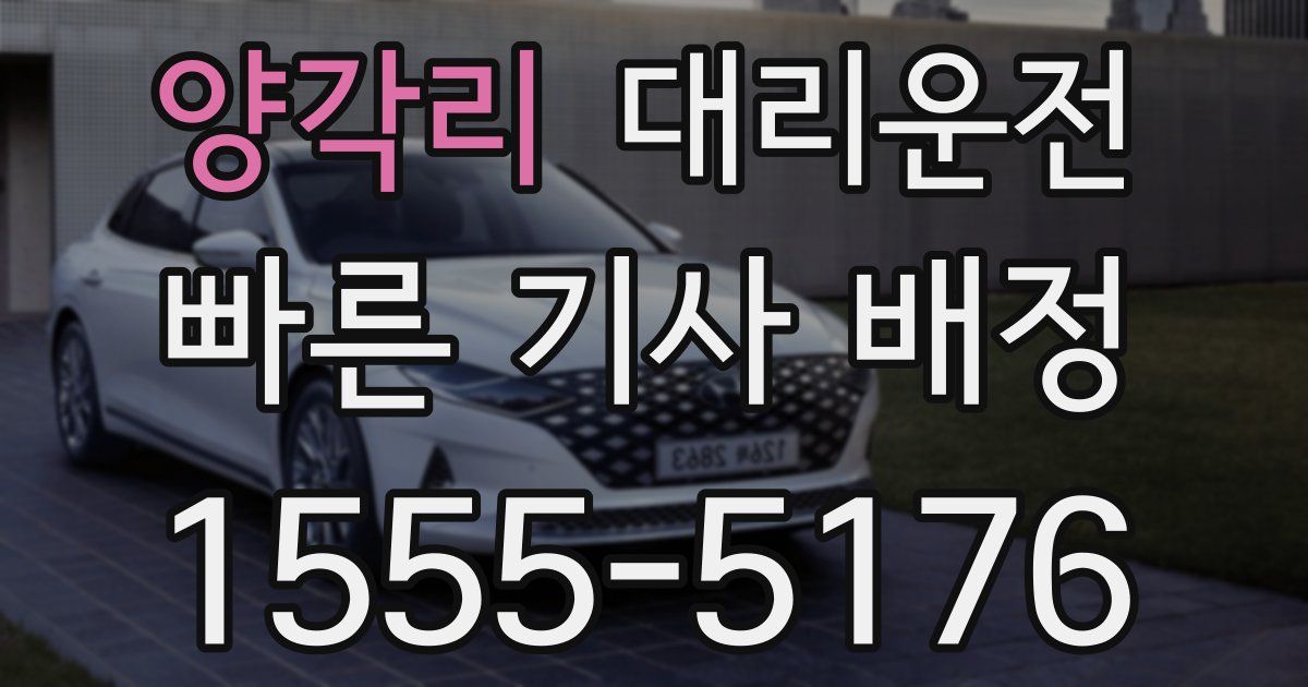 일일대리기사